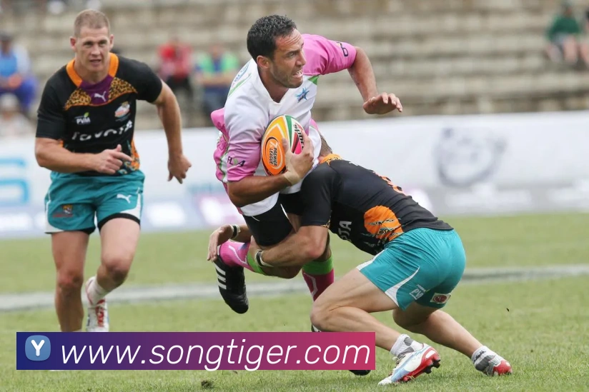kaiyun体育网页版平台生态图